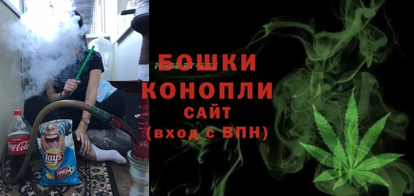 PSILOCYBIN Верхний Тагил
