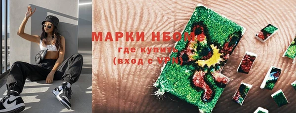 PSILOCYBIN Верхний Тагил