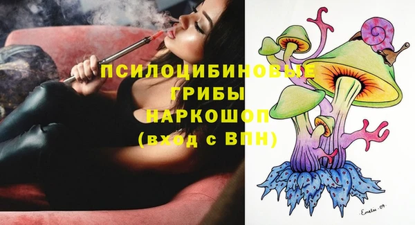 PSILOCYBIN Верхний Тагил