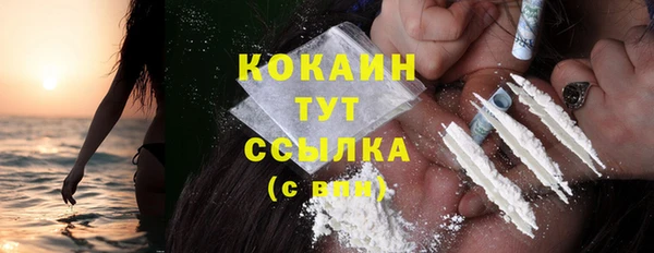 PSILOCYBIN Верхний Тагил