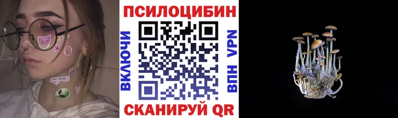Псилоцибиновые грибы Magic Shrooms  Кинель 